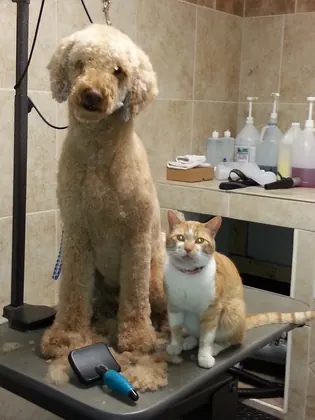 Animal Lover's Pet Supply, business photo 2