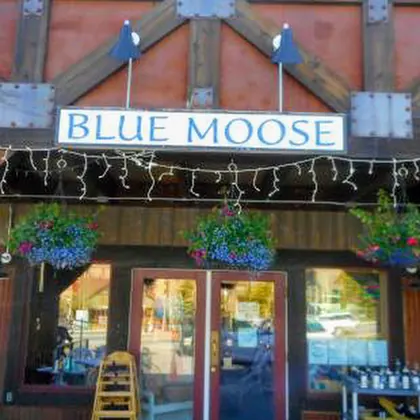 Blue Moose Restaurant, business photo 2