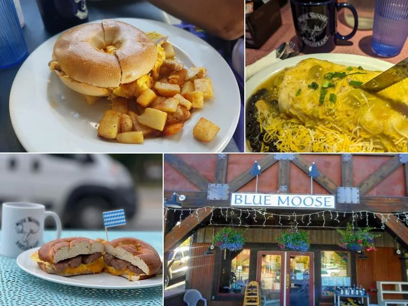 Blue Moose Restaurant business photo