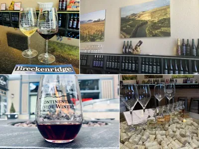 Continental Divide Winery, business photo 1