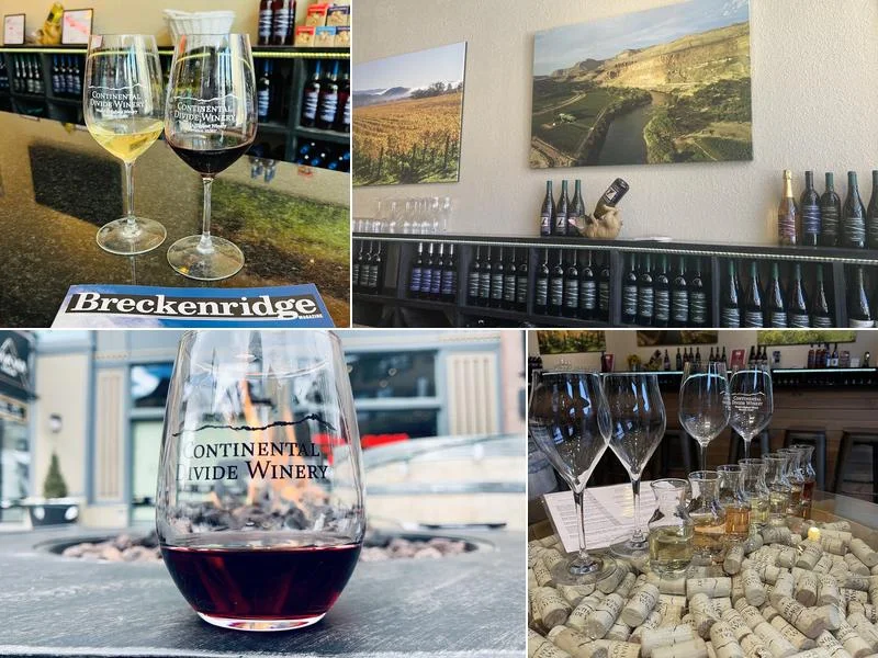 Continental Divide Winery business photo