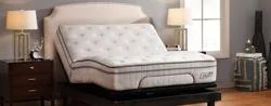 Denver Mattress business photo