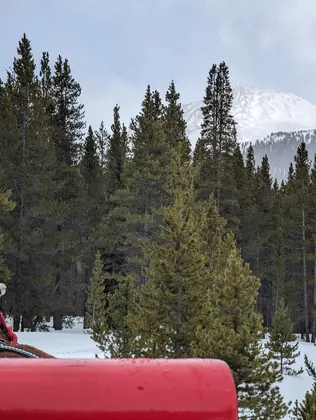 Golden Horseshoe Sleigh Rides, business photo 2