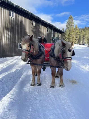 Golden Horseshoe Sleigh Rides, business photo 3