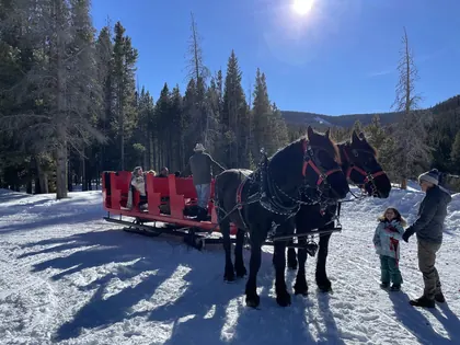 Golden Horseshoe Sleigh Rides, business photo 4