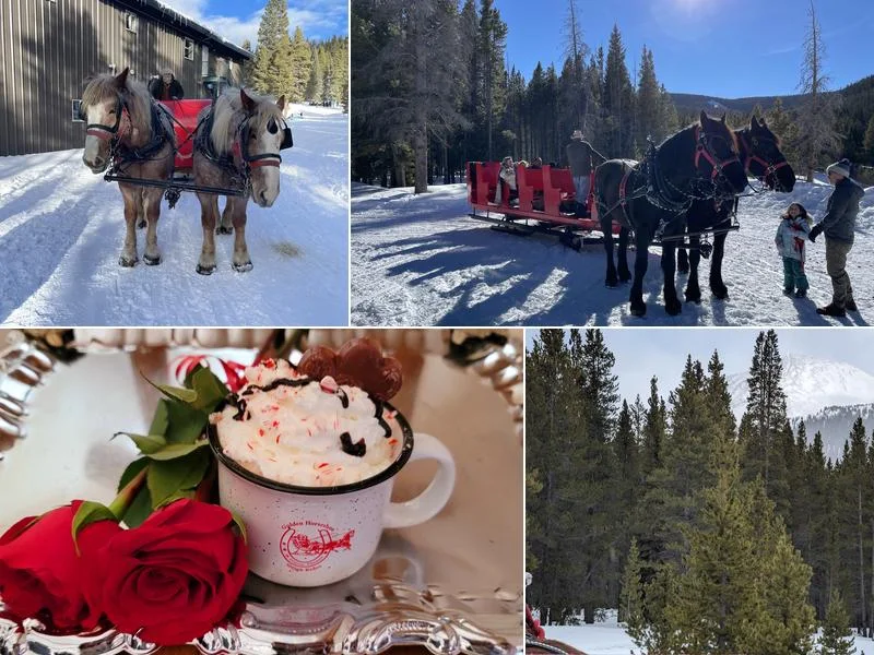 Golden Horseshoe Sleigh Rides business photo