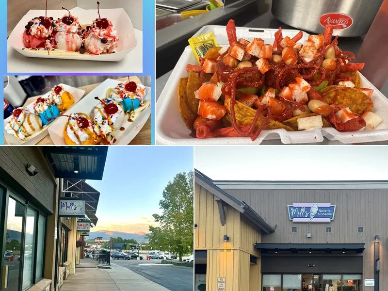 Mell’s Neveria & Snacks business photo