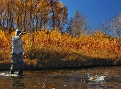 Mountain Angler, business photo 3