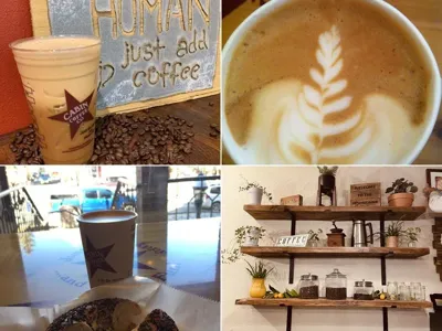 Mountain View Coffee Bar, business photo 1