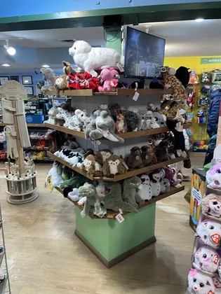 Peak-A-Boo Toys, business photo 2