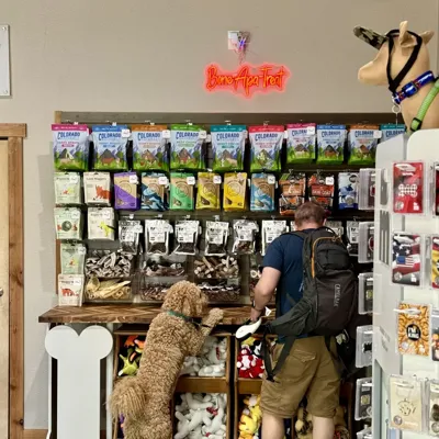 The Downhill Dog, business photo 1
