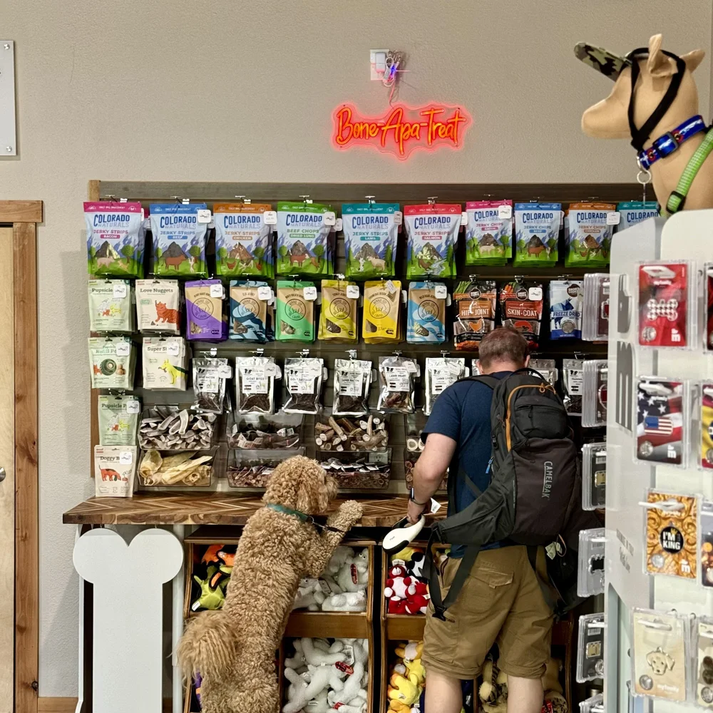 The Downhill Dog business photo