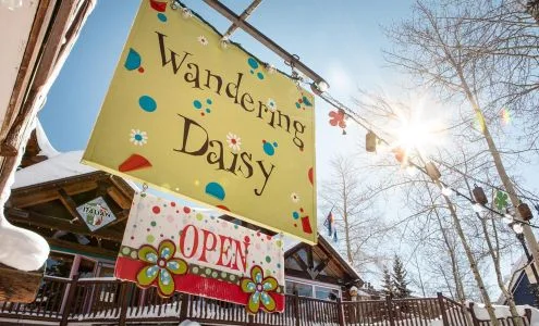 Wandering Daisy business photo